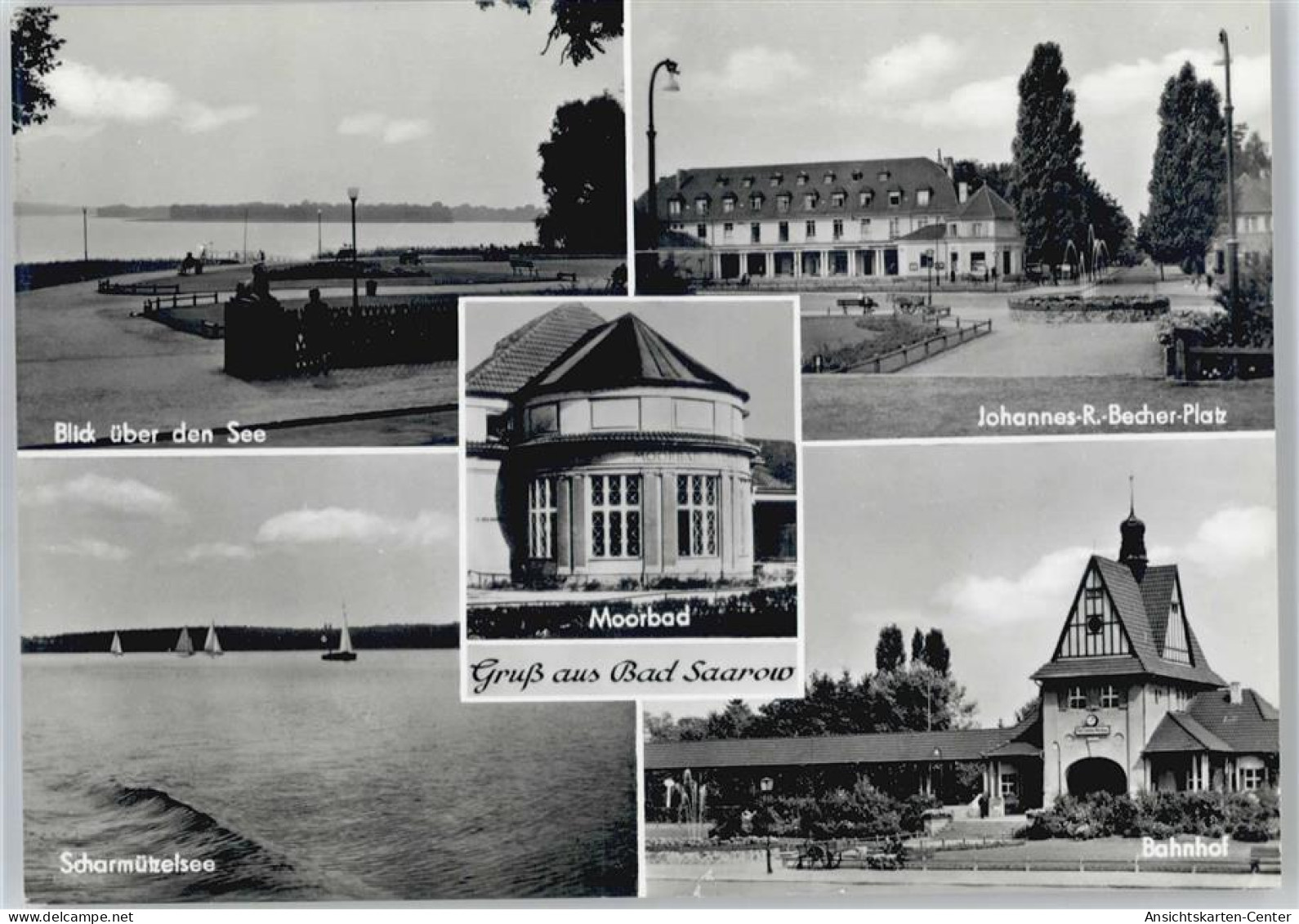 50585376 - Bad Saarow