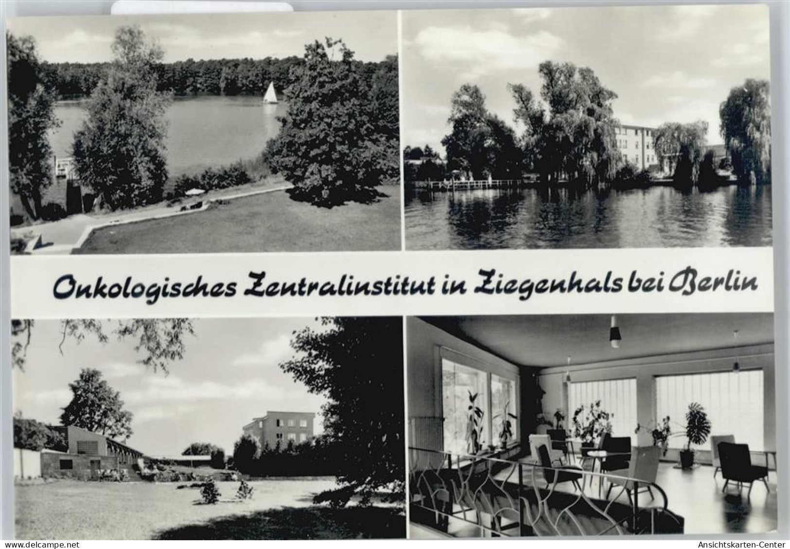 50585377 - Ziegenhals