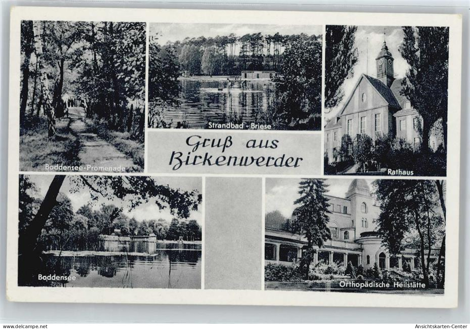 50585647 - Birkenwerder