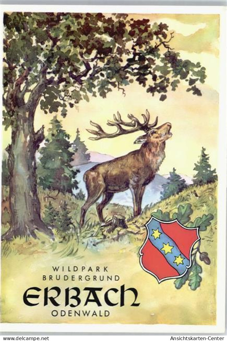 50593162 - Erbach , Odenw