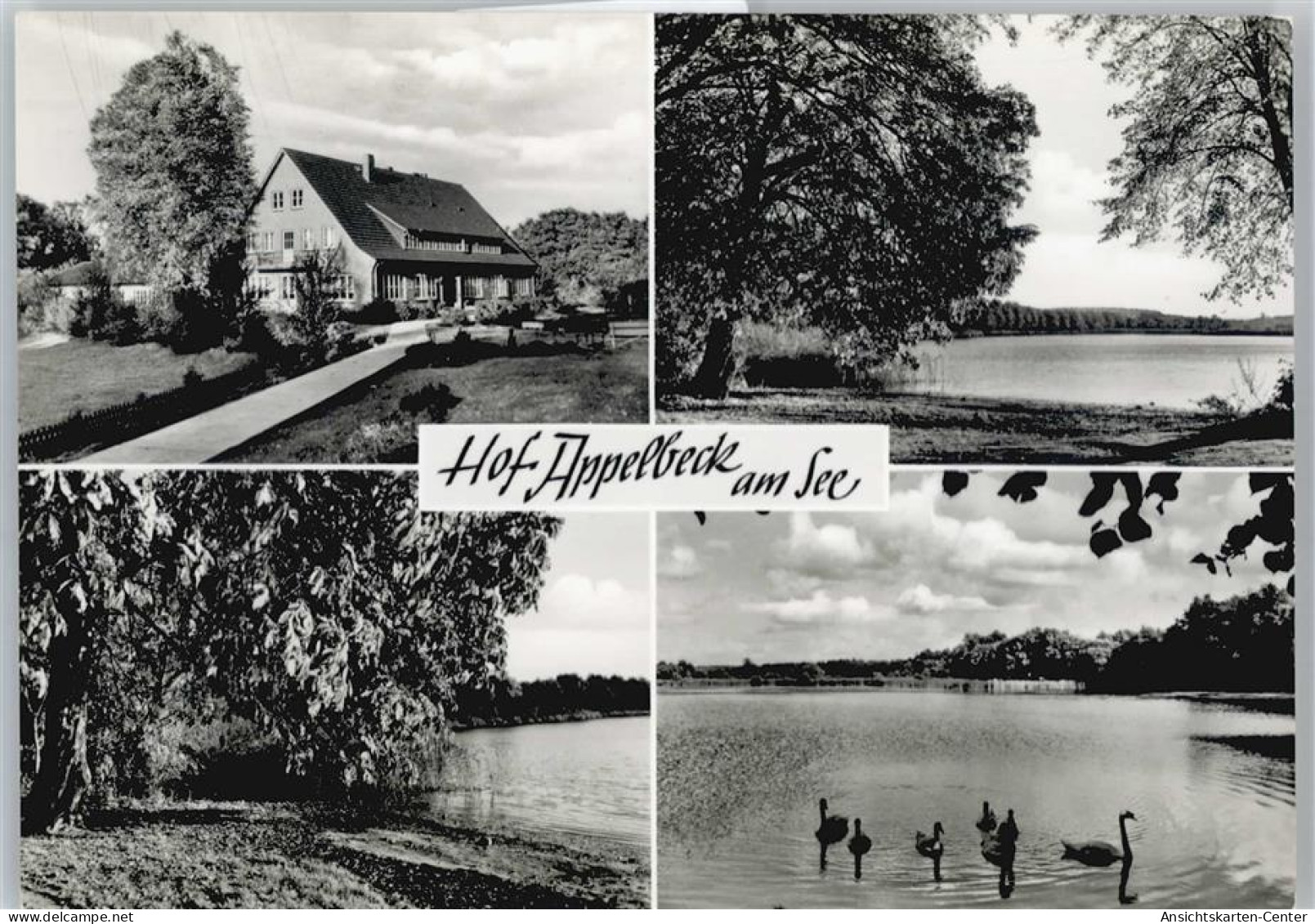 50593288 - Hollenstedt , Nordheide