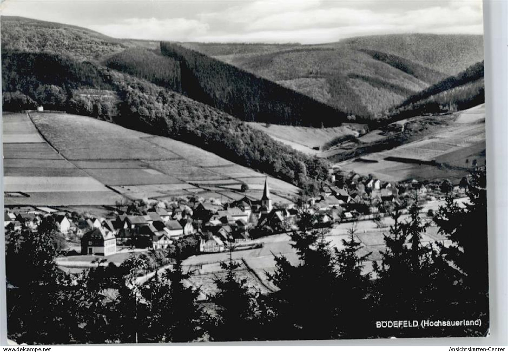 50593768 - Schmallenberg