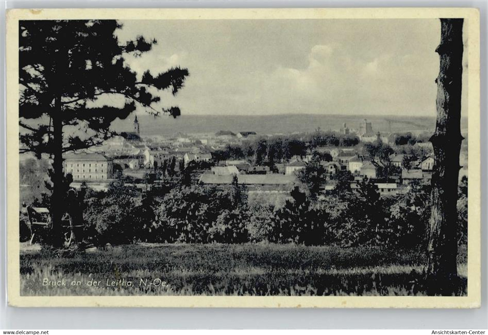 50597924 - Bruck an der Leitha