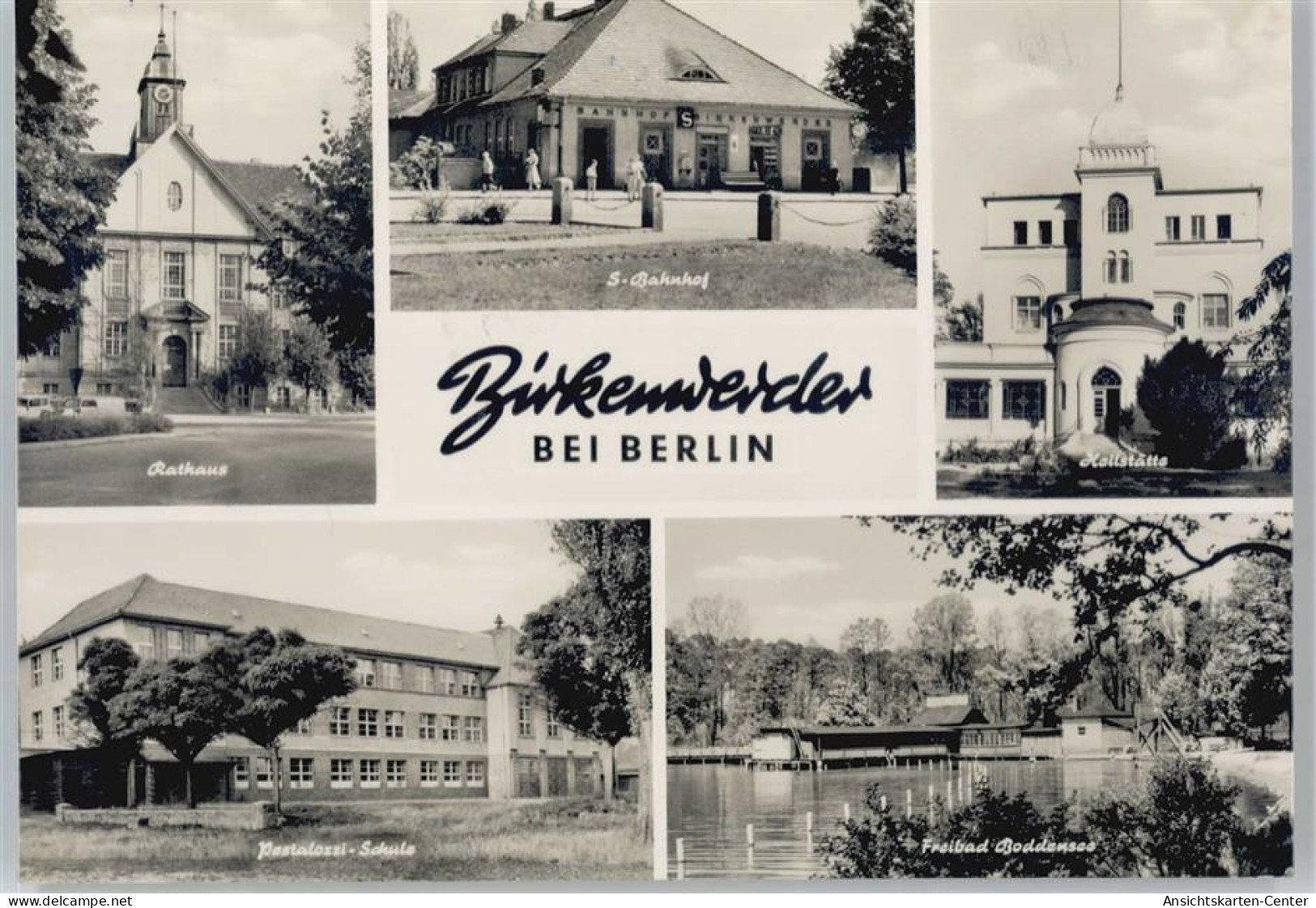 50598438 - Birkenwerder