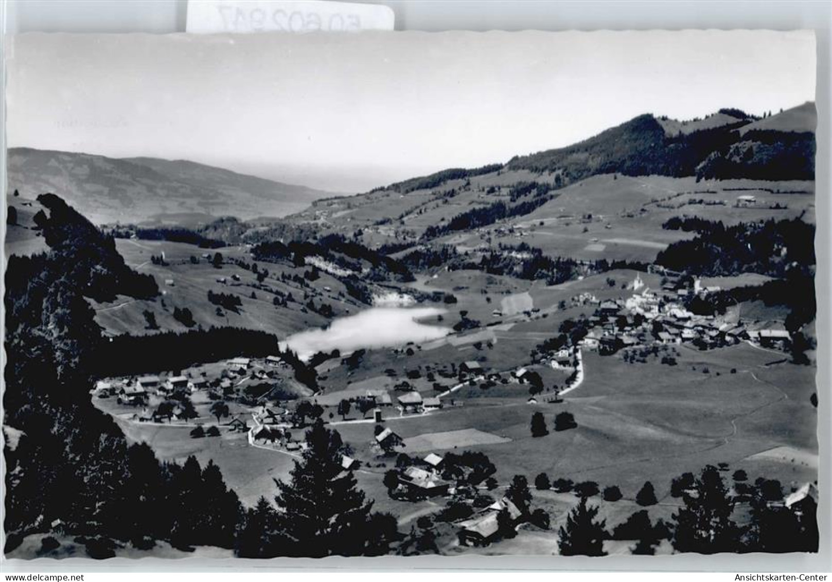 50602947 - Charmey (Gruyère)