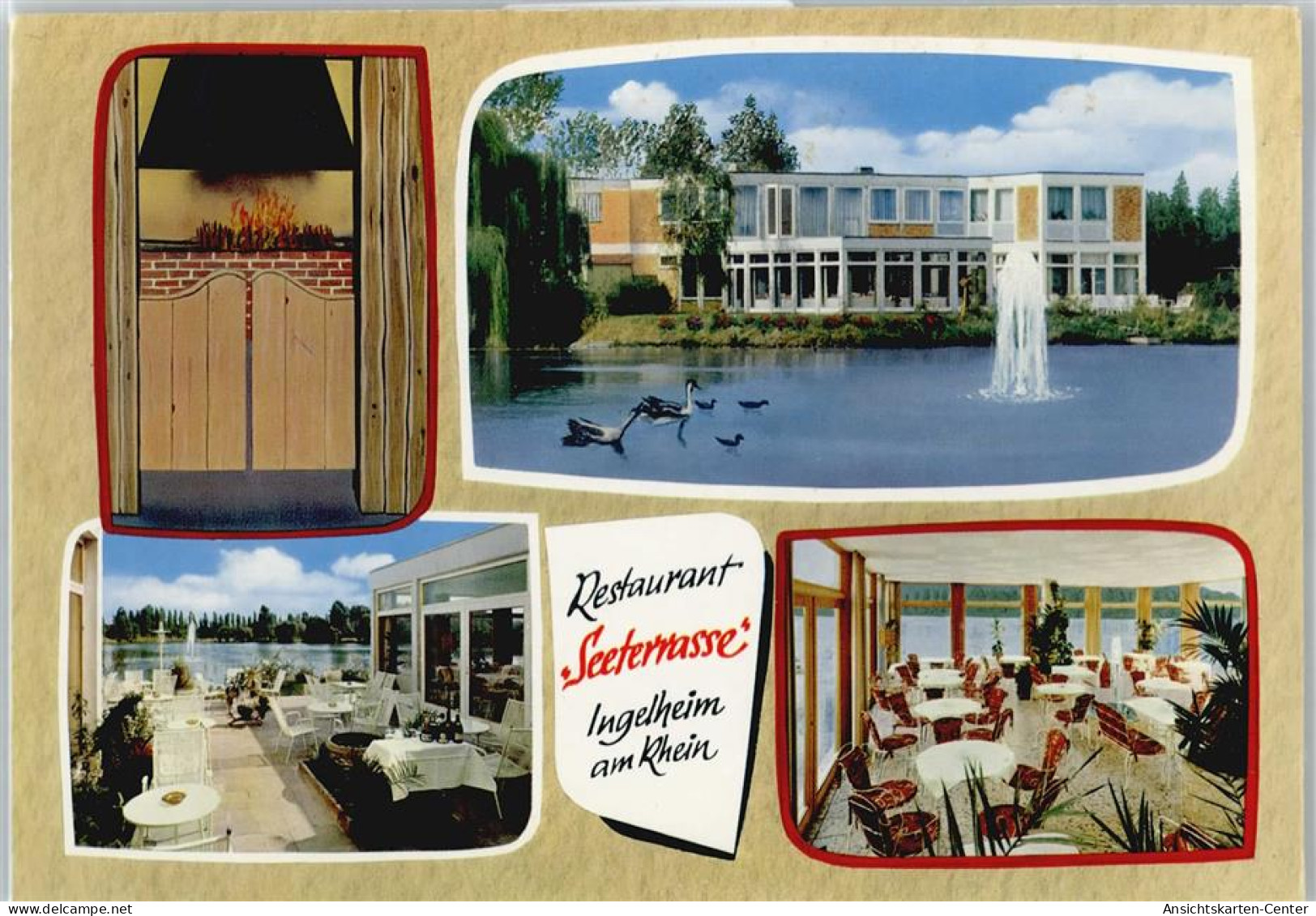 50603743 - Ingelheim am Rhein