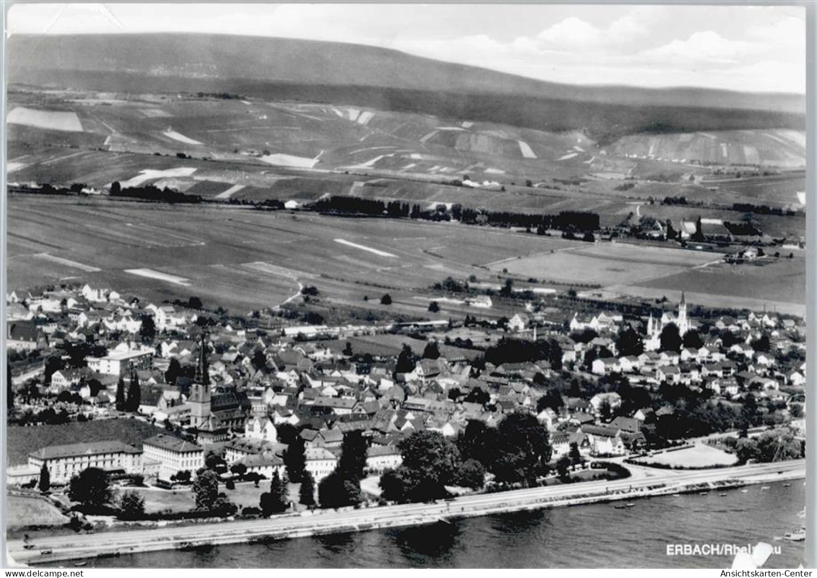 50605069 - Erbach , Rheingau