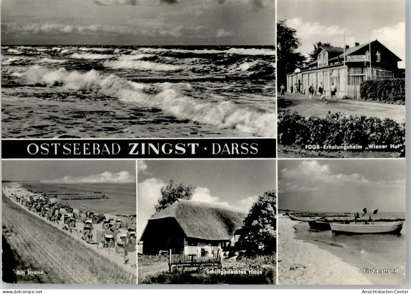 50606864 - Zingst , Ostseebad