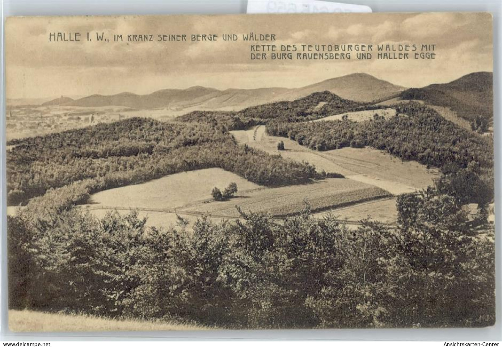 50615659 - Halle (Westf.)