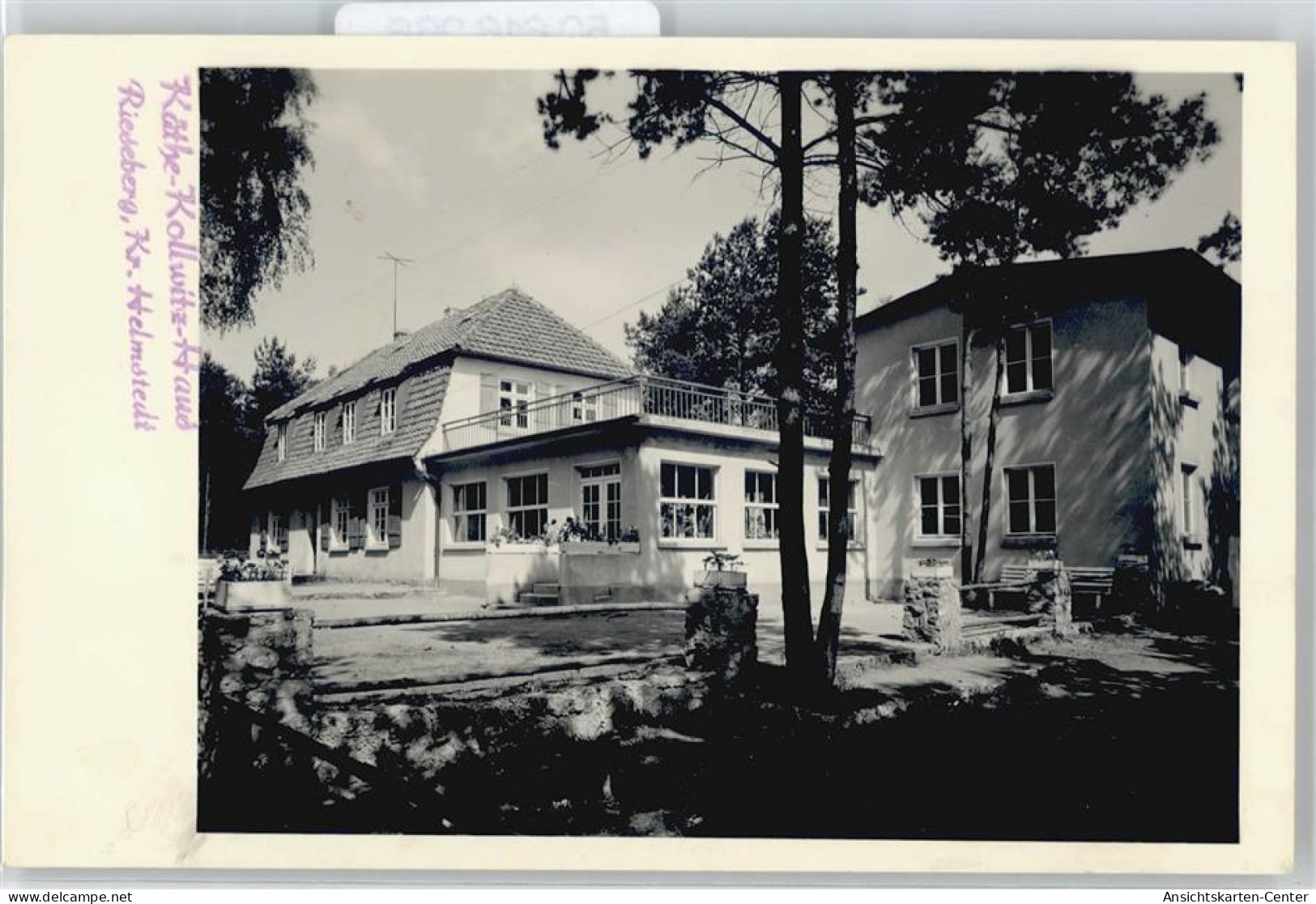 50616266 - Rieseberg