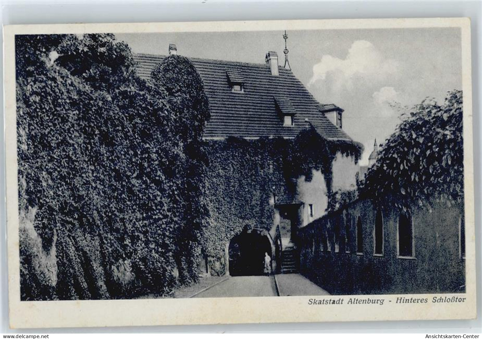 50617257 - Altenburg , Thuer