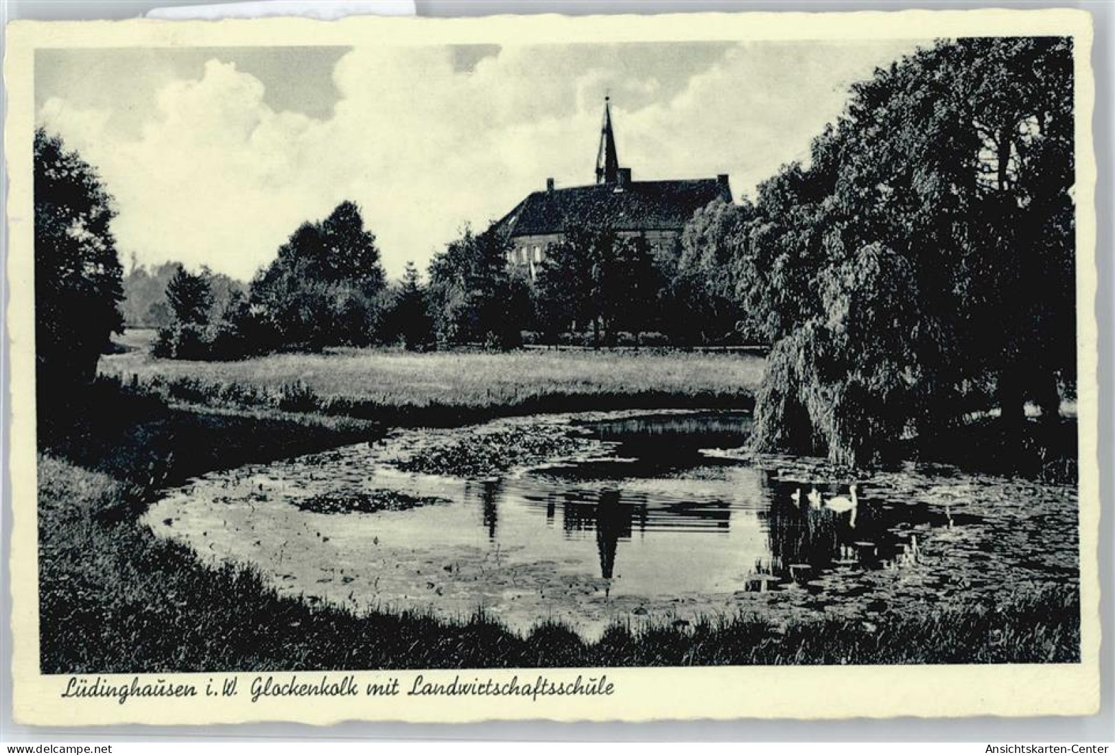 50618228 - Luedinghausen