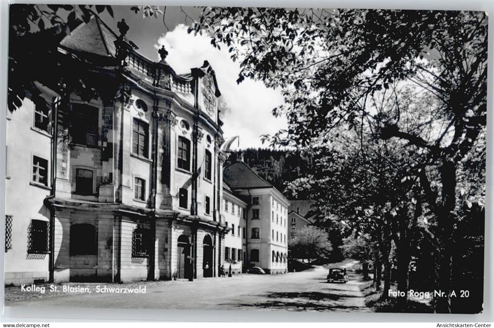 50618709 - St. Blasien