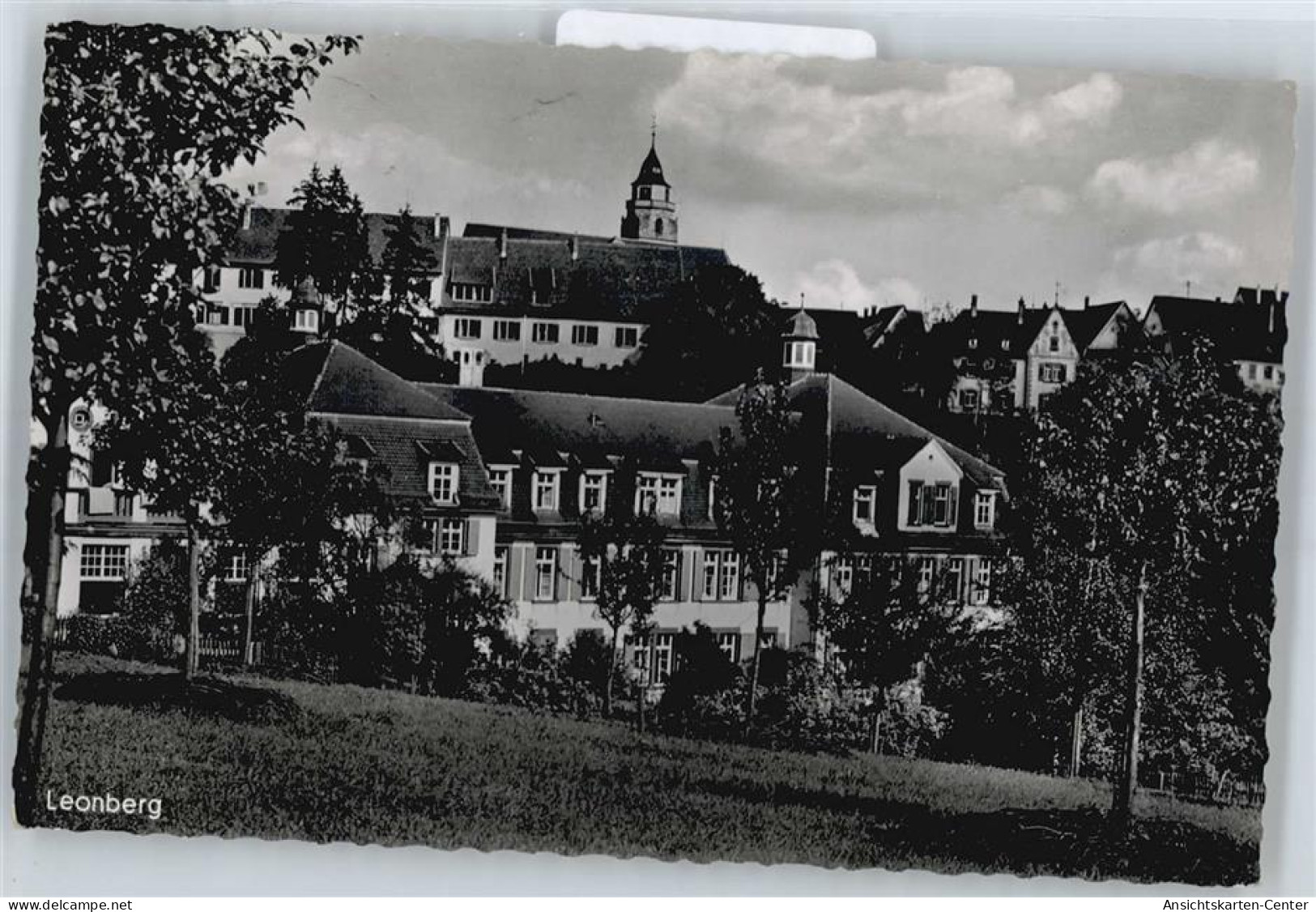 50618854 - Leonberg , Wuertt