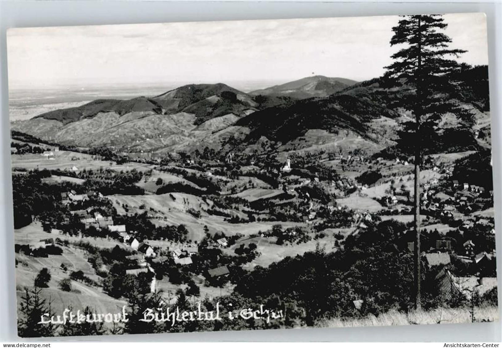 50618862 - Buehlertal