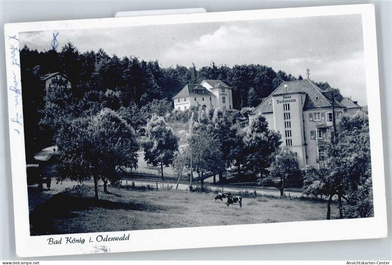 50620703 - Bad Koenig