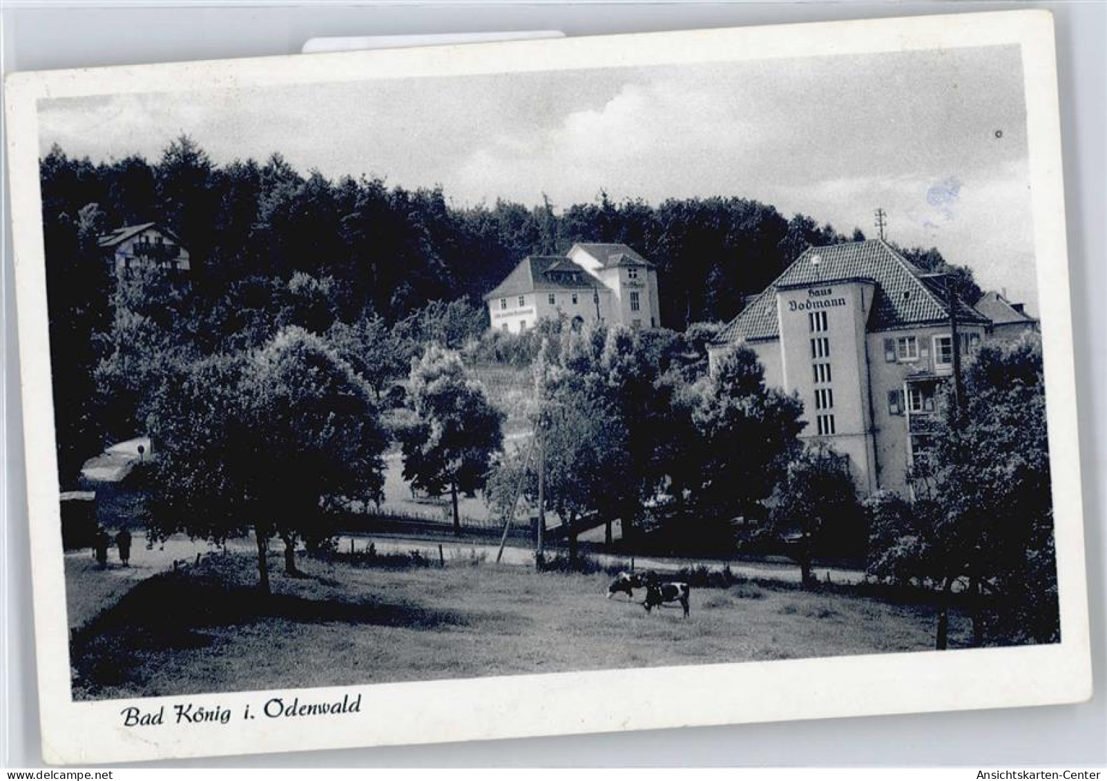 50620766 - Bad Koenig