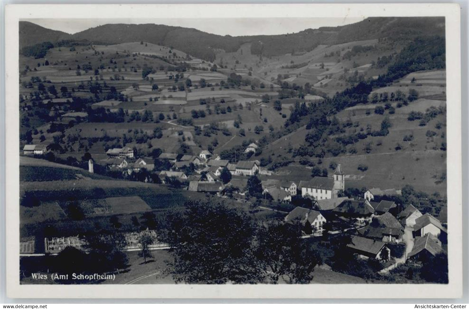 50621906 - Wies , Schwarzw