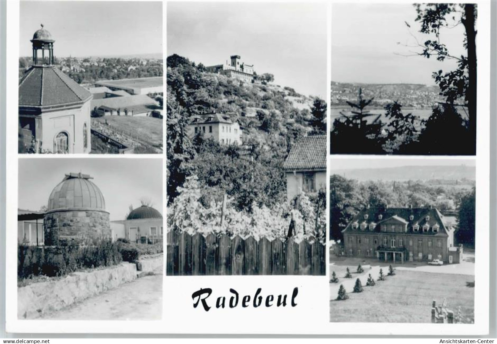 50624924 - Radebeul