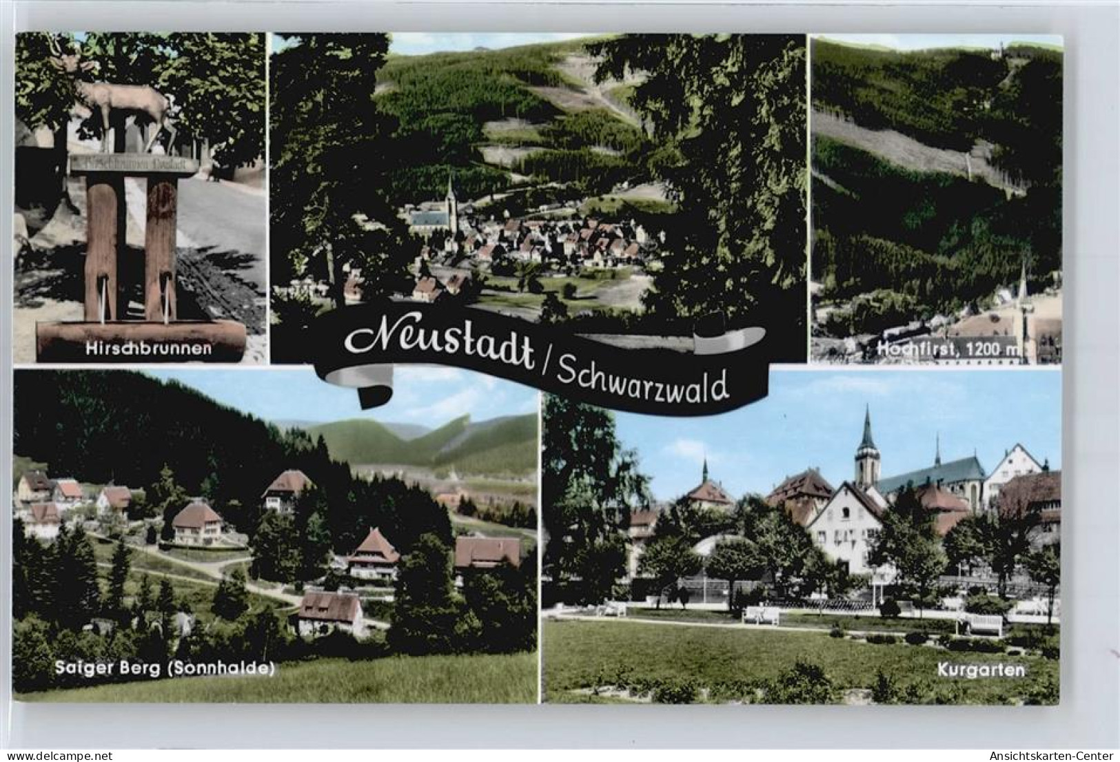 50628969 - Neustadt Titisee-Neustadt