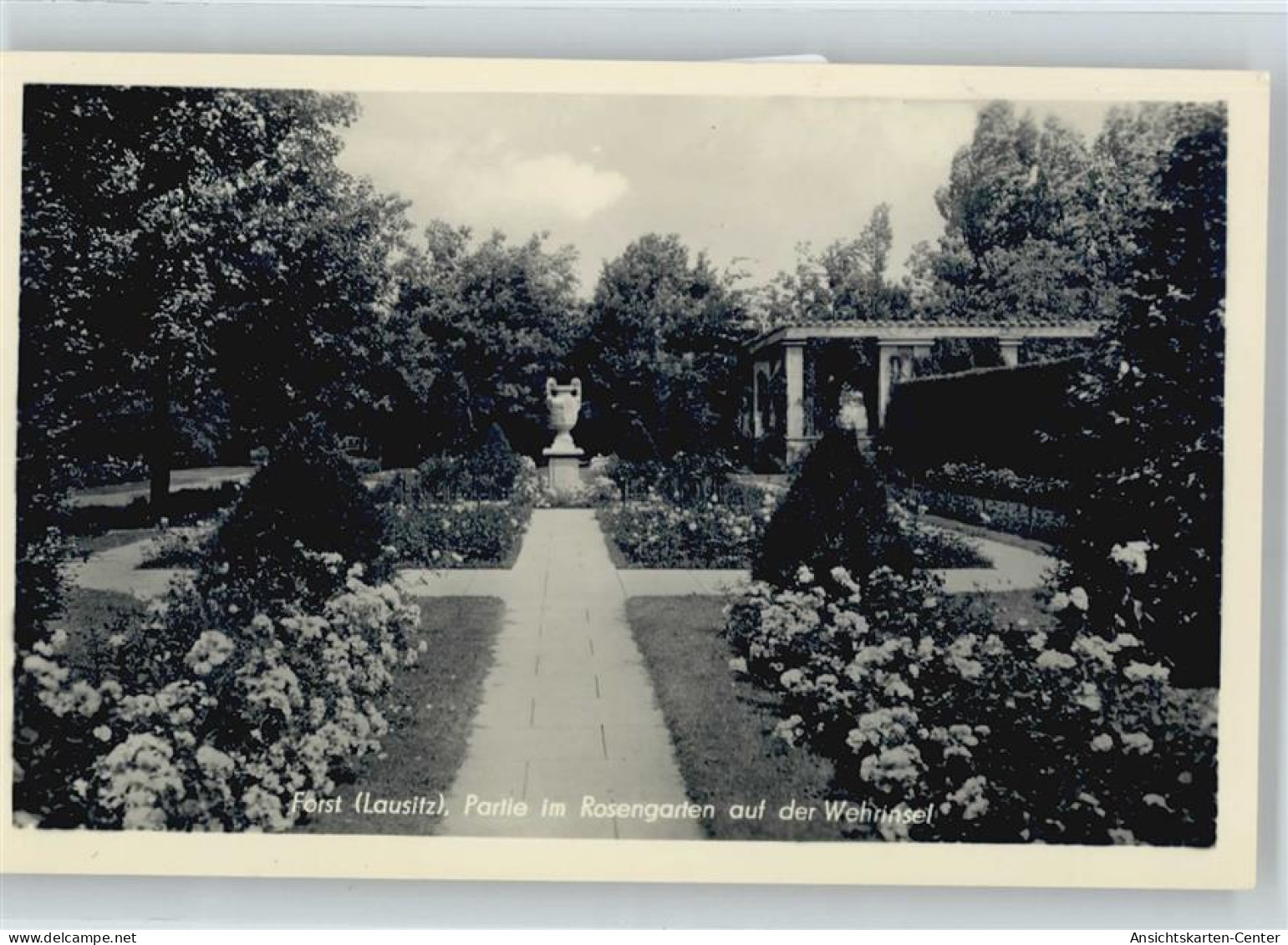 50631977 - Forst (Lausitz)