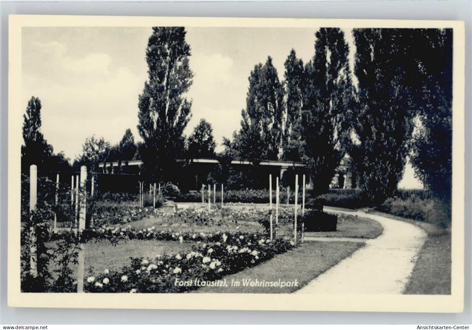 50631978 - Forst (Lausitz)