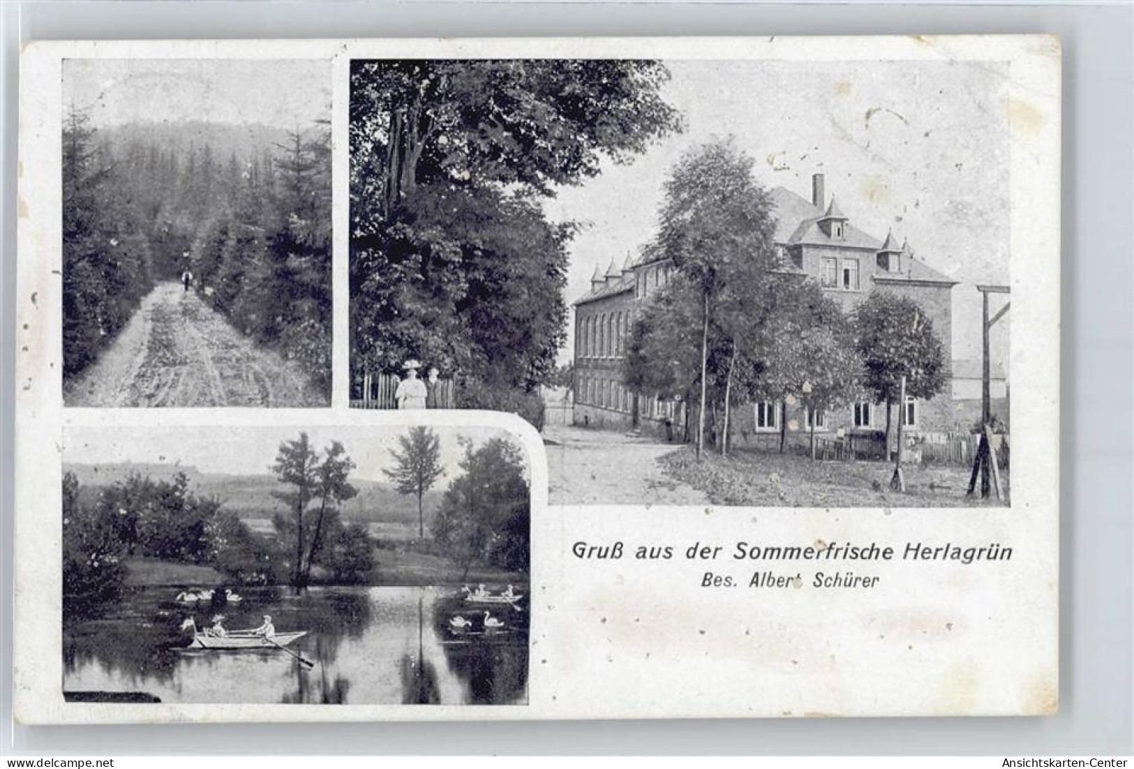 50632768 - Herlagruen