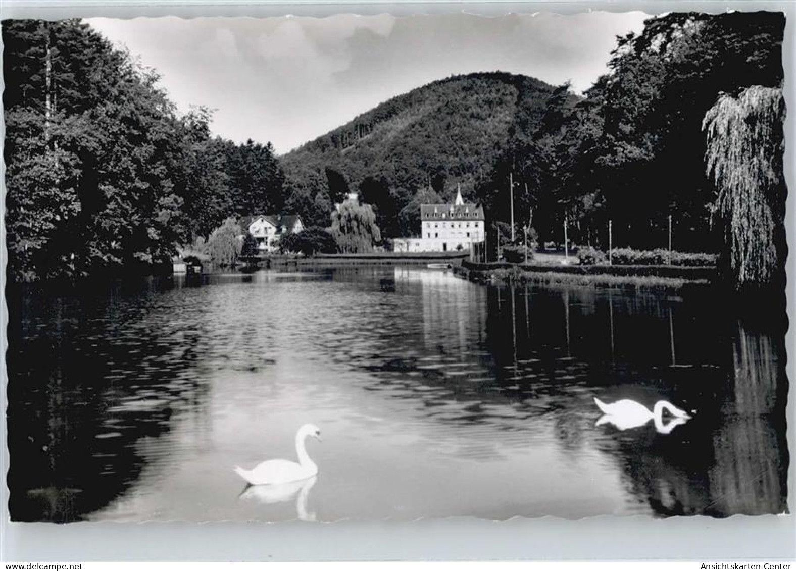 50642342 - Bad Bergzabern