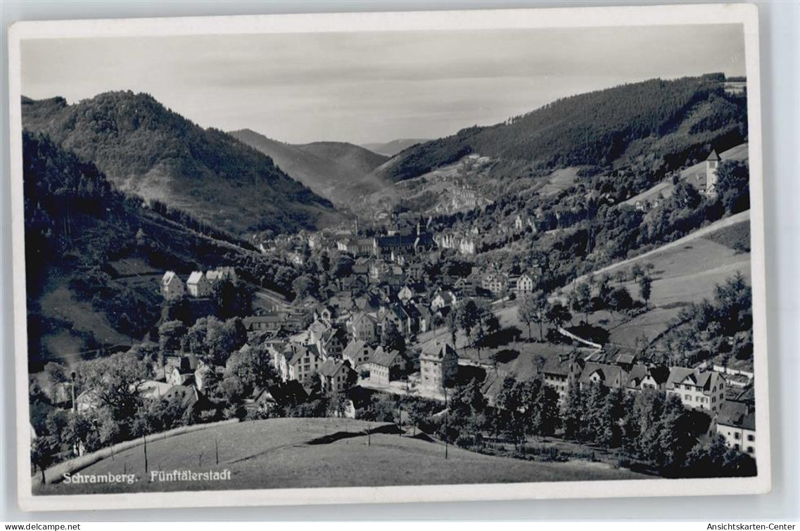 50643048 - Schramberg