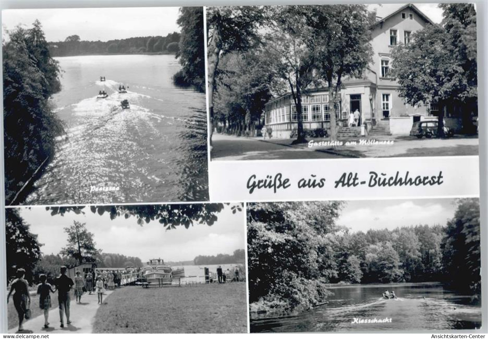 50644031 - Gruenheide , Mark