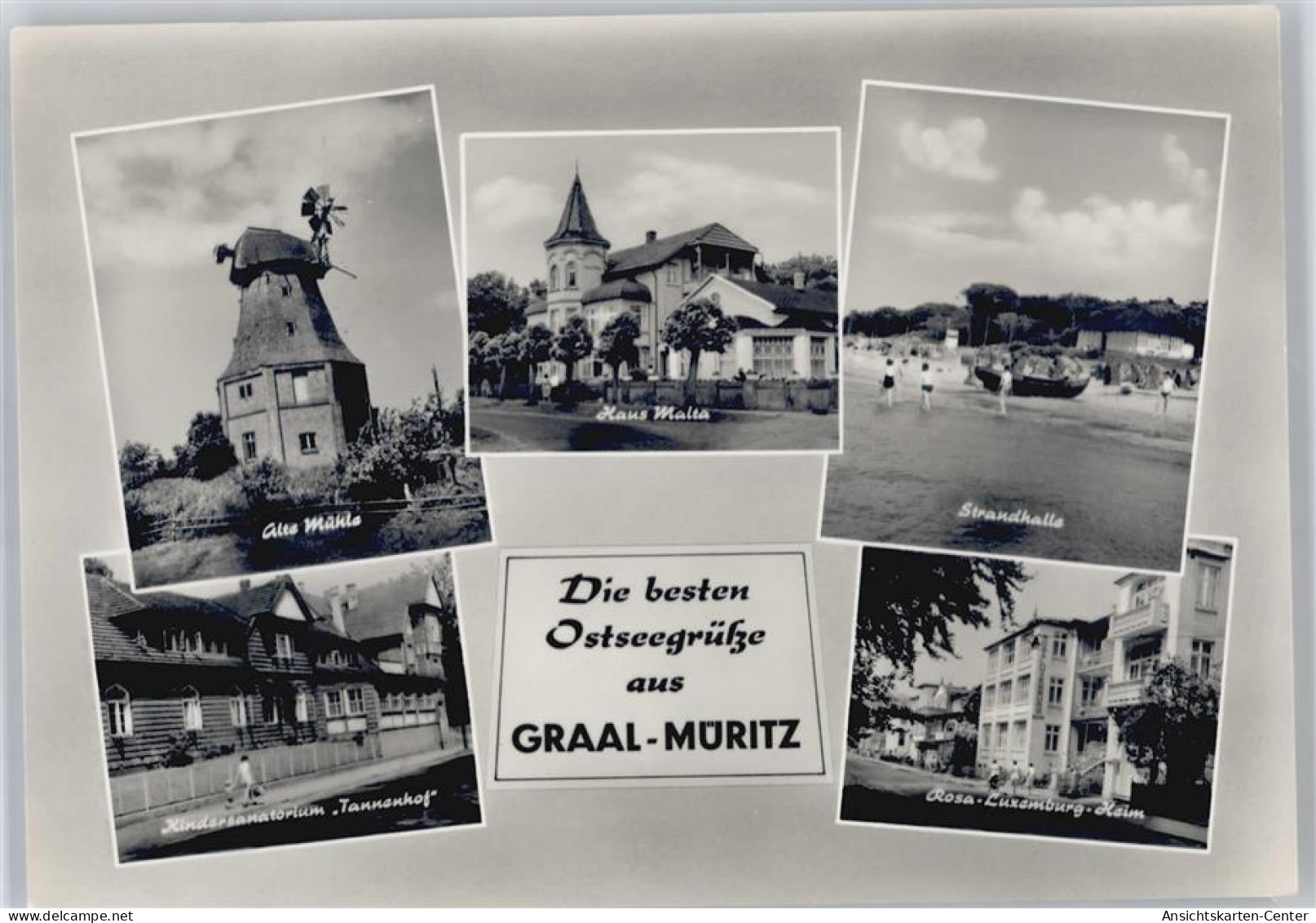 50644095 - Graal-Mueritz , Seeheilbad
