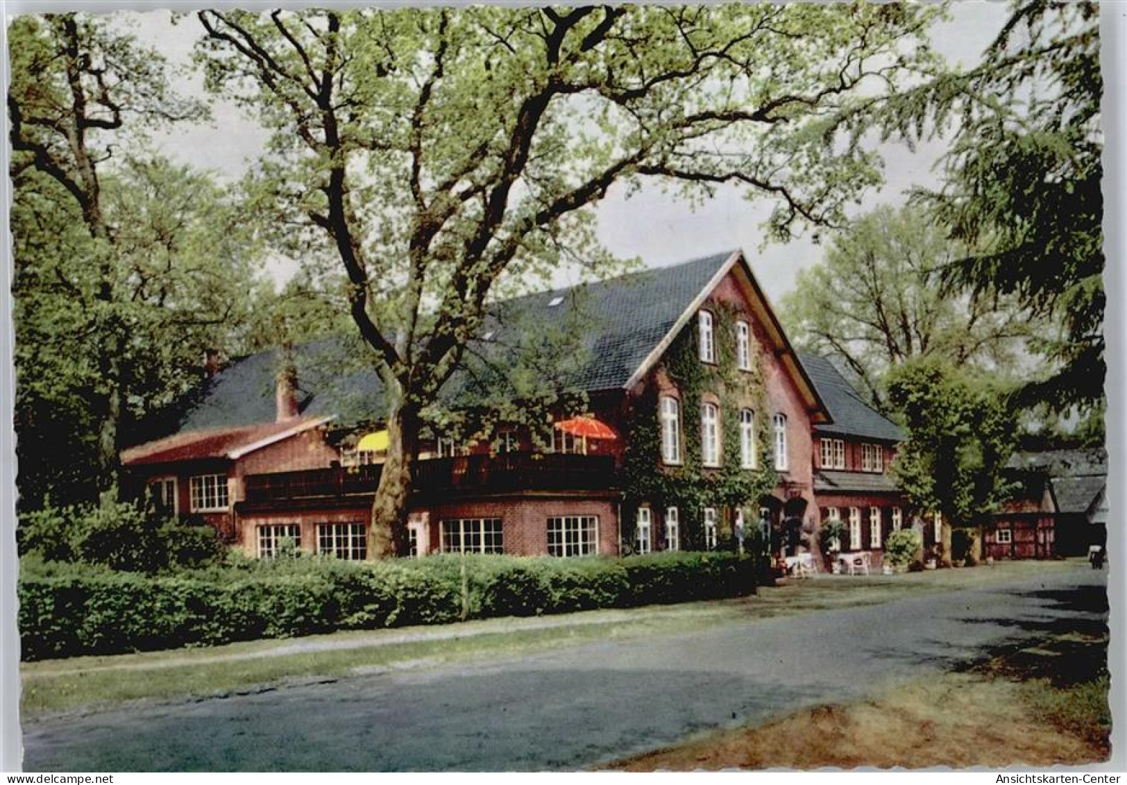 50645269 - Wildeshausen