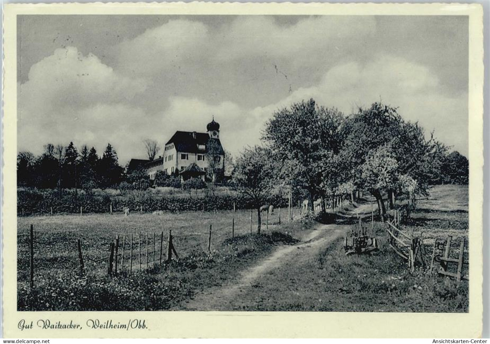 50646540 - Weilheim i. OB