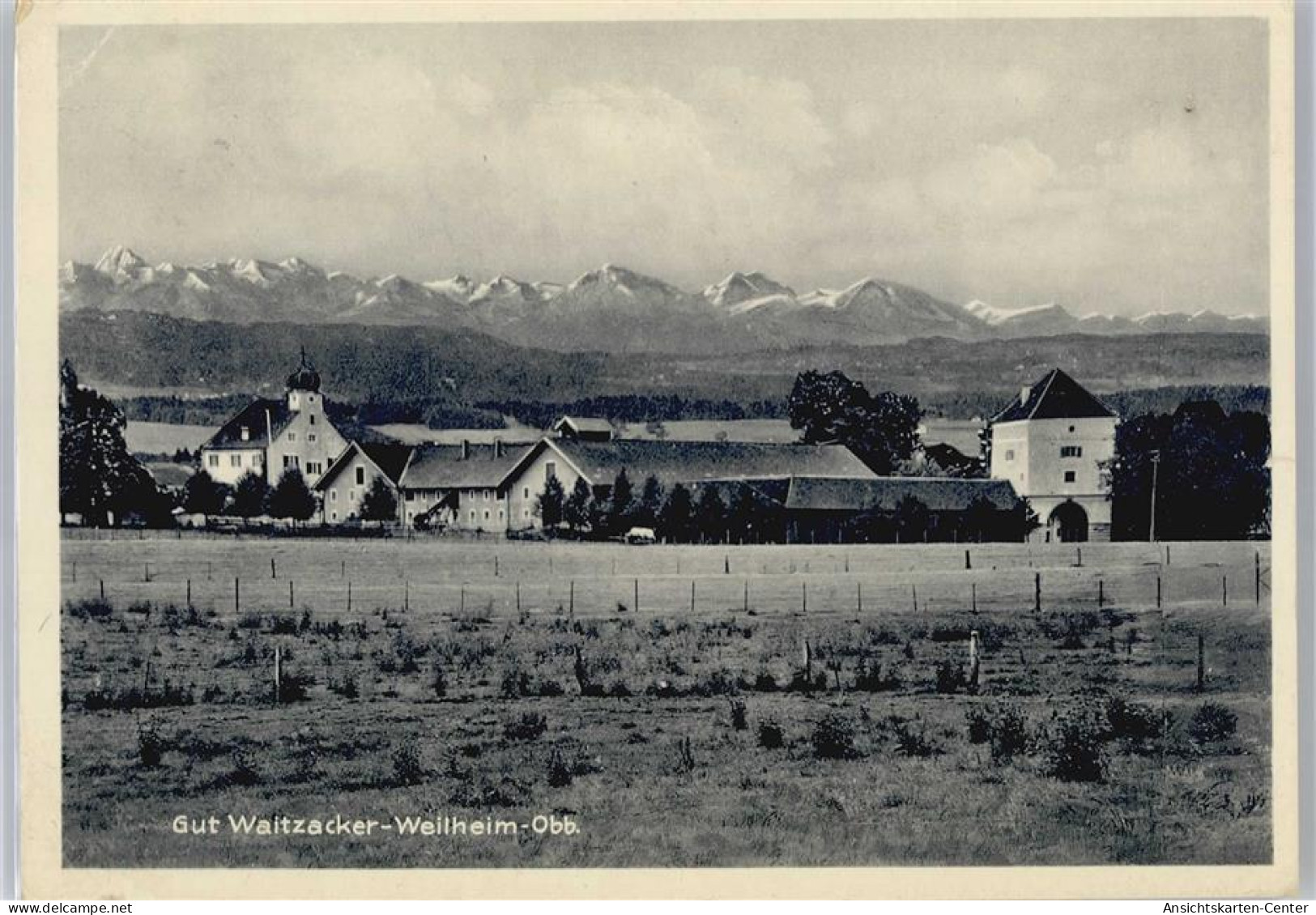 50646548 - Weilheim i. OB