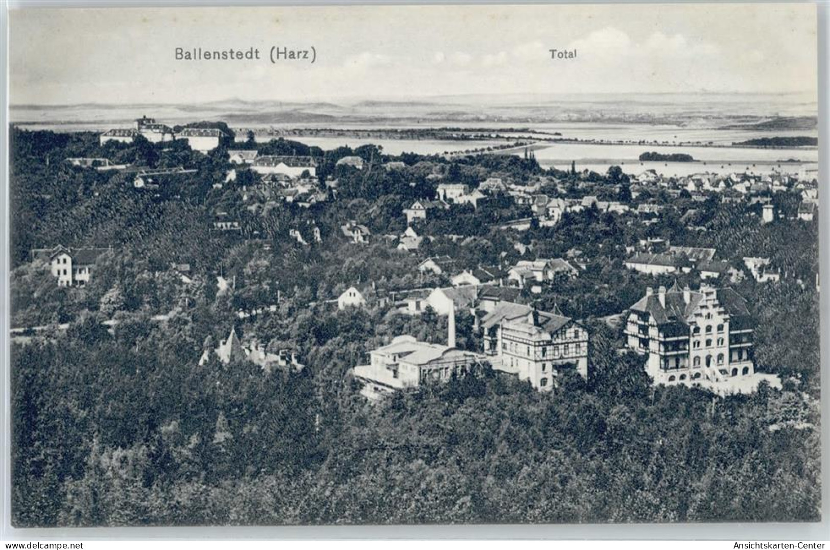 50648107 - Ballenstedt