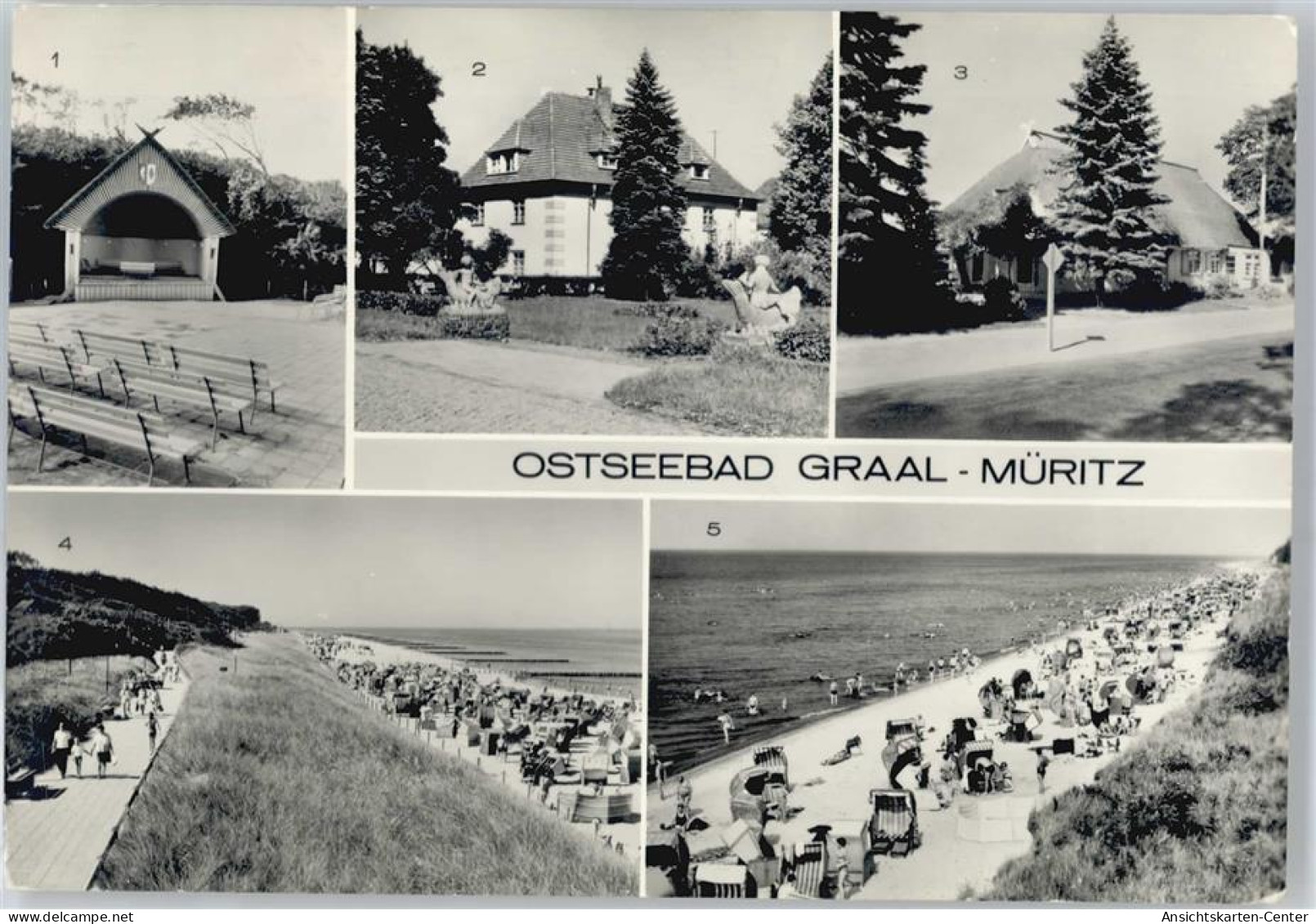 50648128 - Graal-Mueritz , Seeheilbad