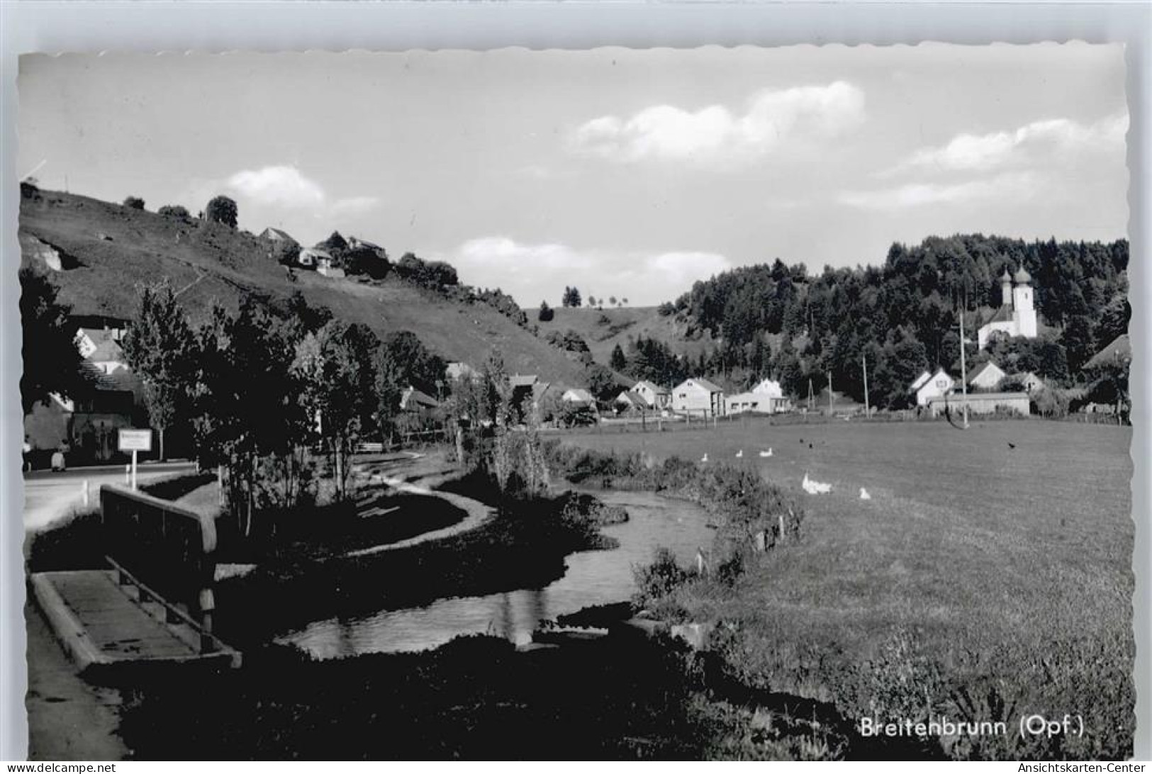 50648708 - Breitenbrunn , Oberpf