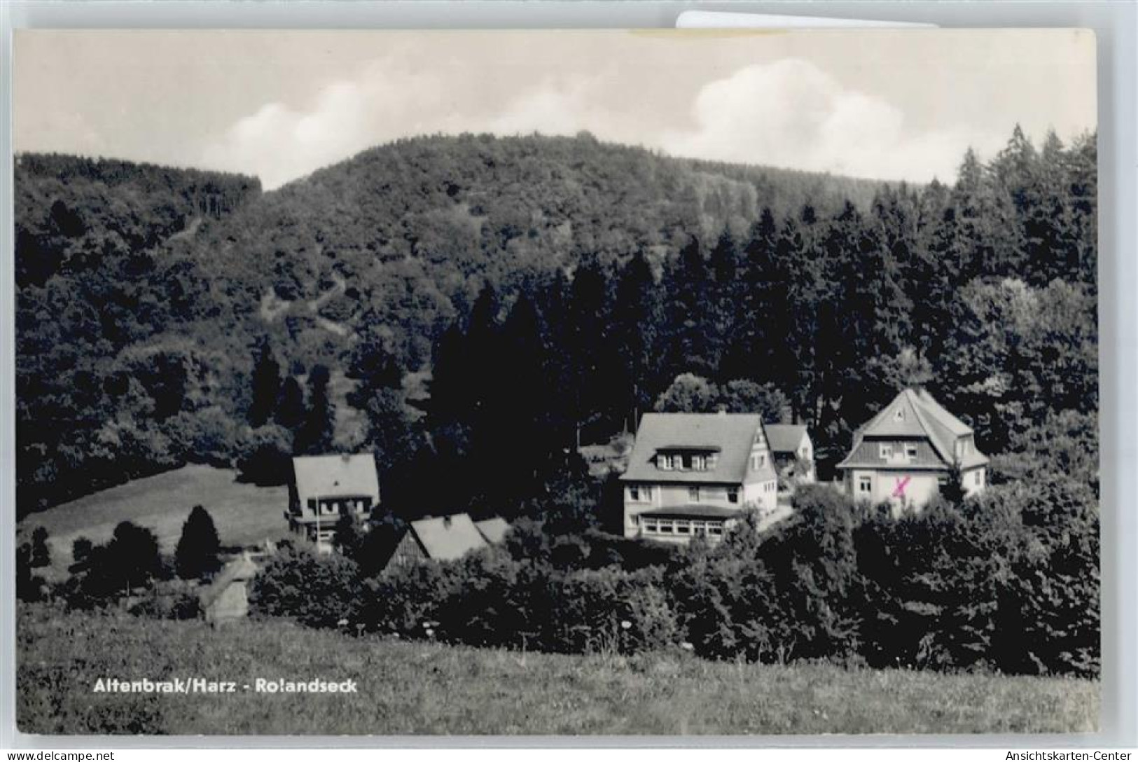 50656528 - Altenbrak