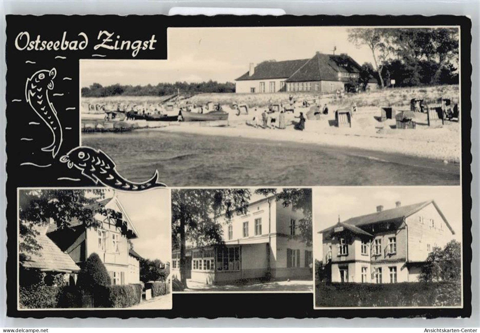 50656904 - Zingst , Ostseebad