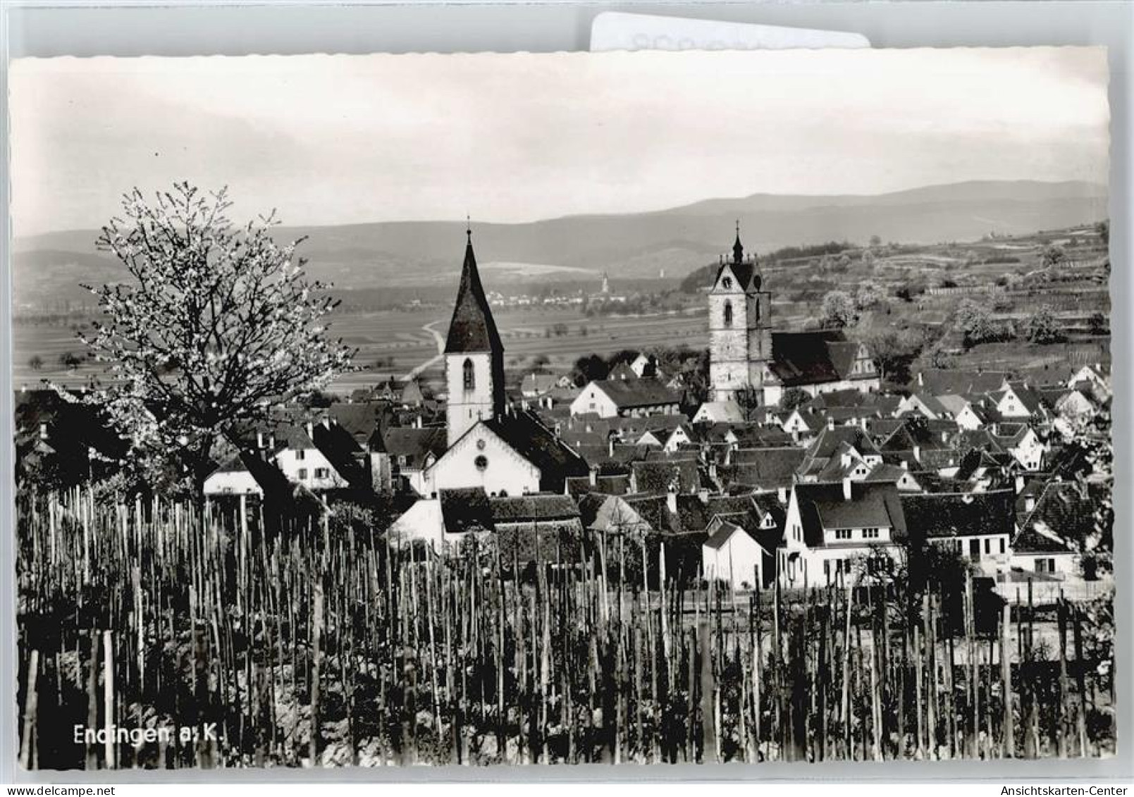 50658328 - Endingen am Kaiserstuhl