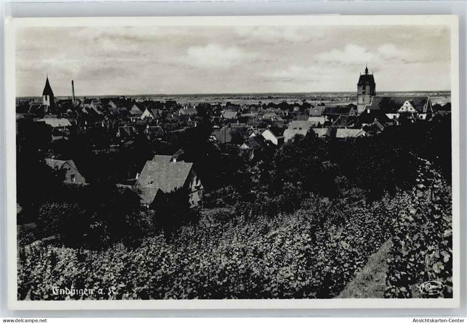 50658329 - Endingen am Kaiserstuhl