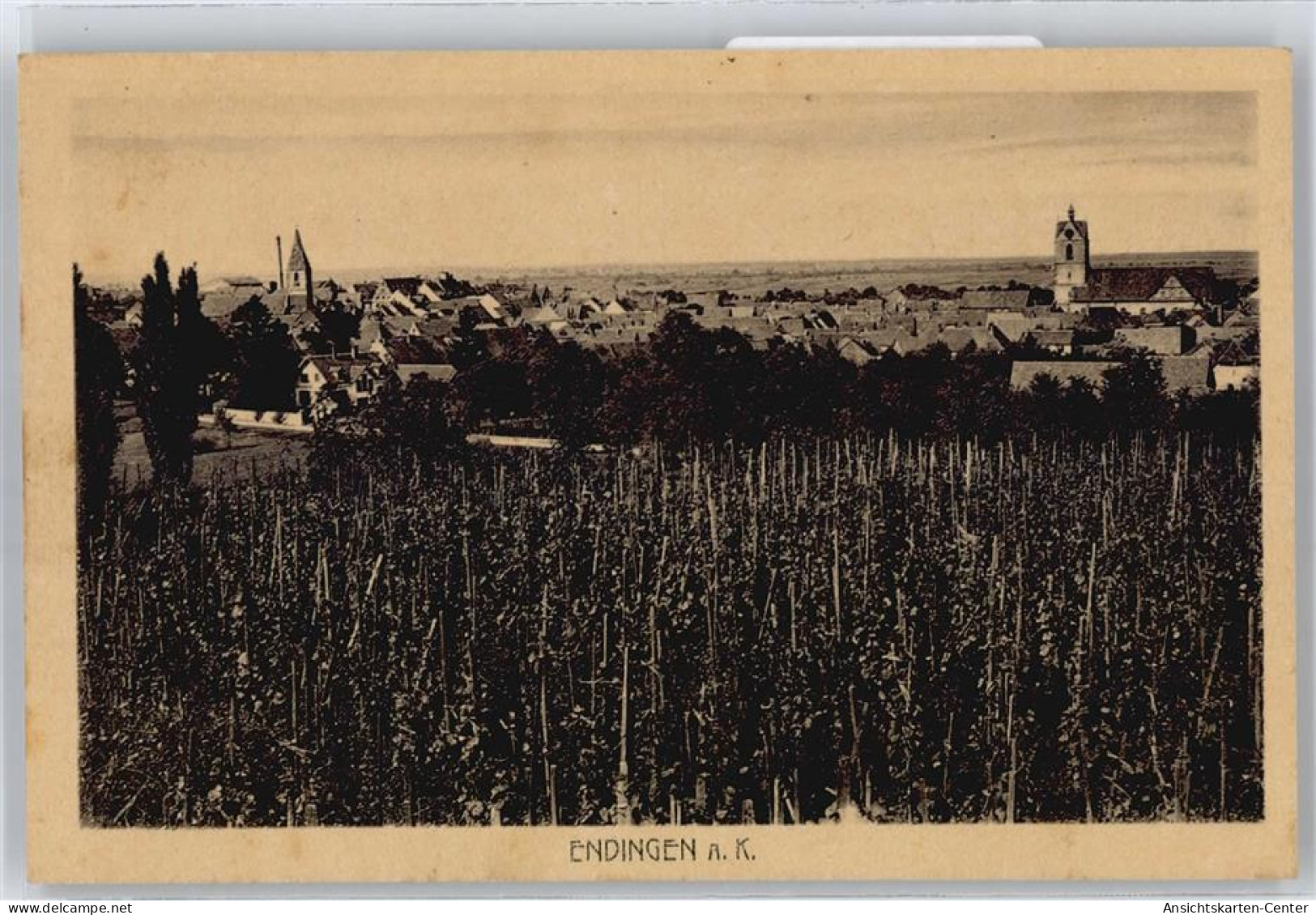 50658353 - Endingen am Kaiserstuhl