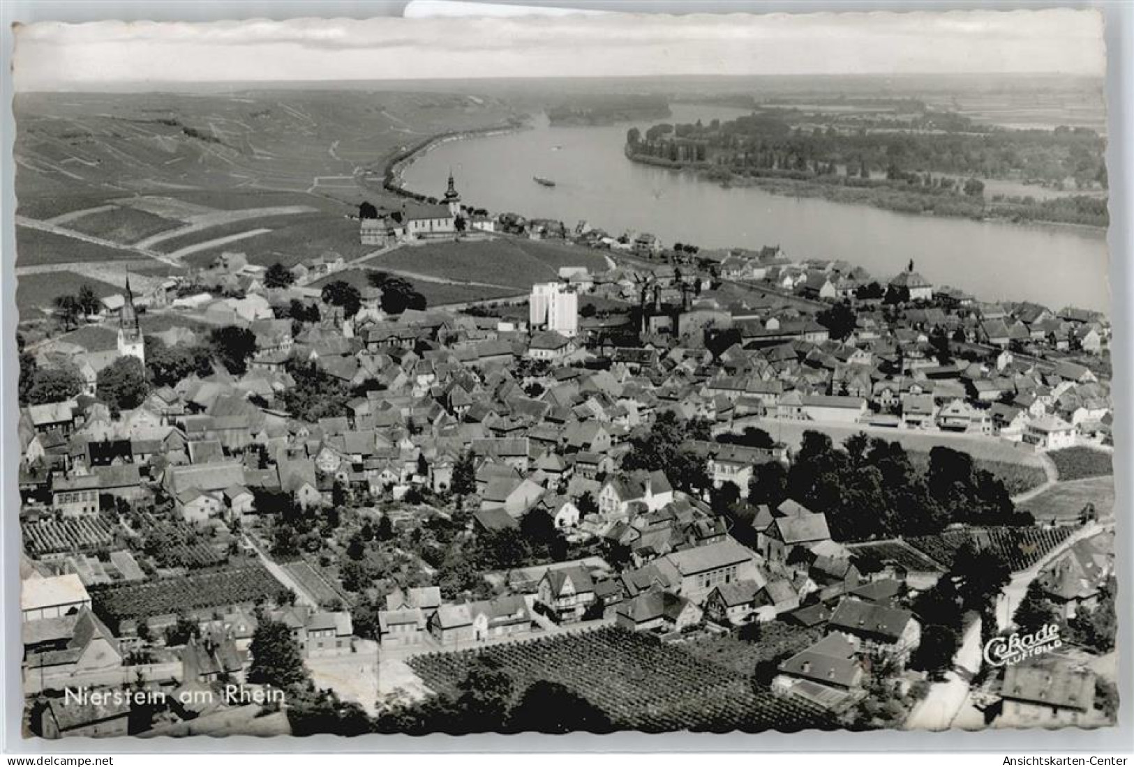 50665496 - Nierstein