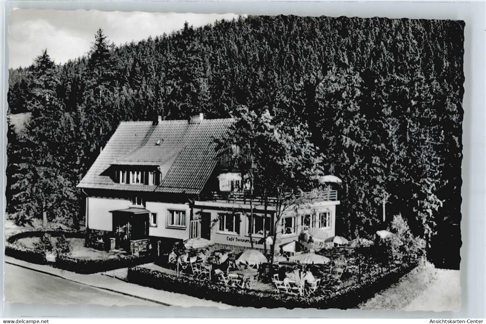 50668353 - Wildemann