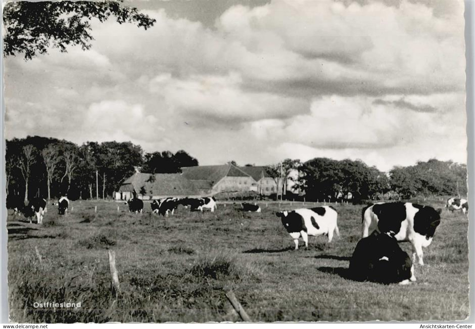 50669728 - Groothusen