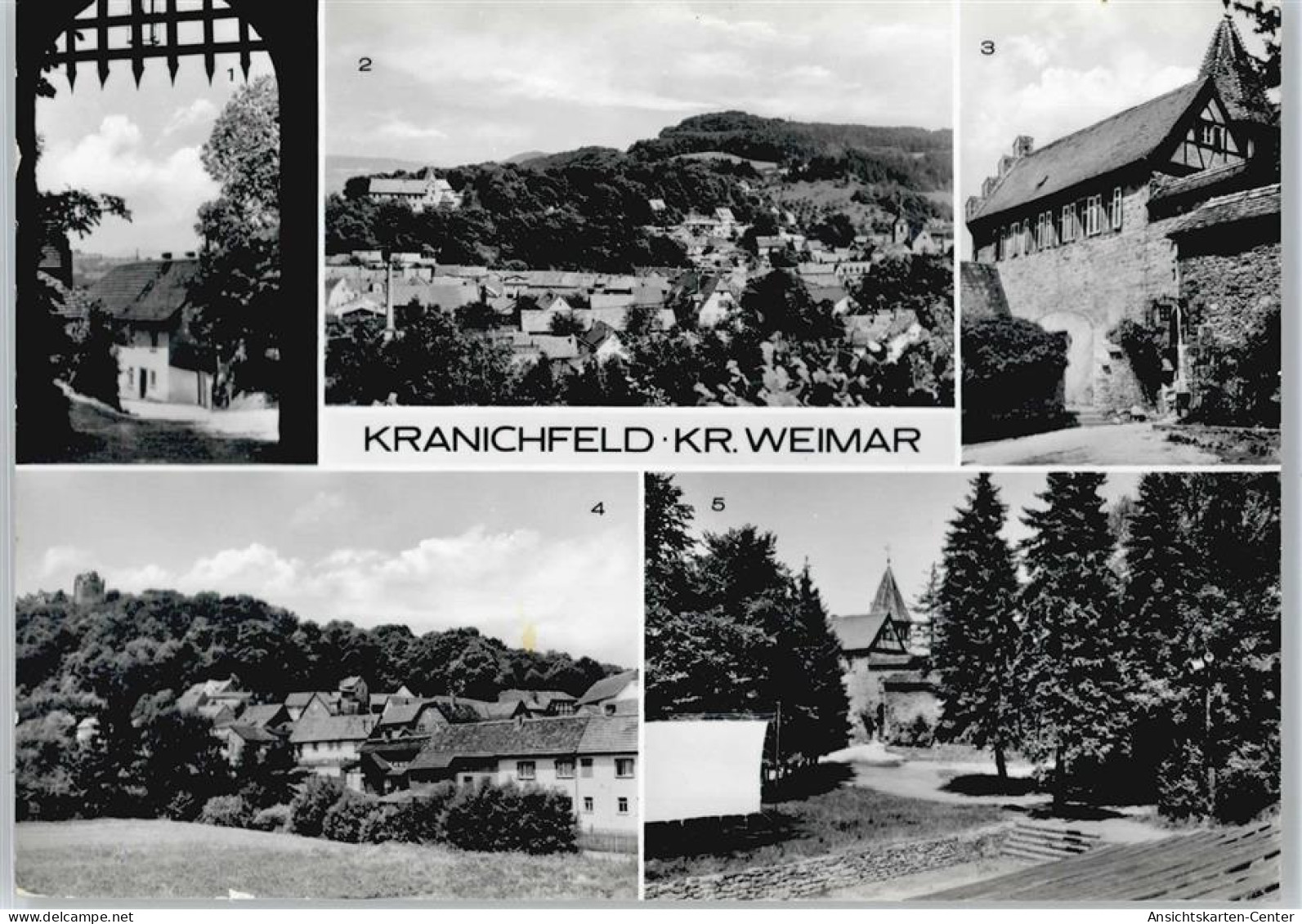 50673791 - Kranichfeld