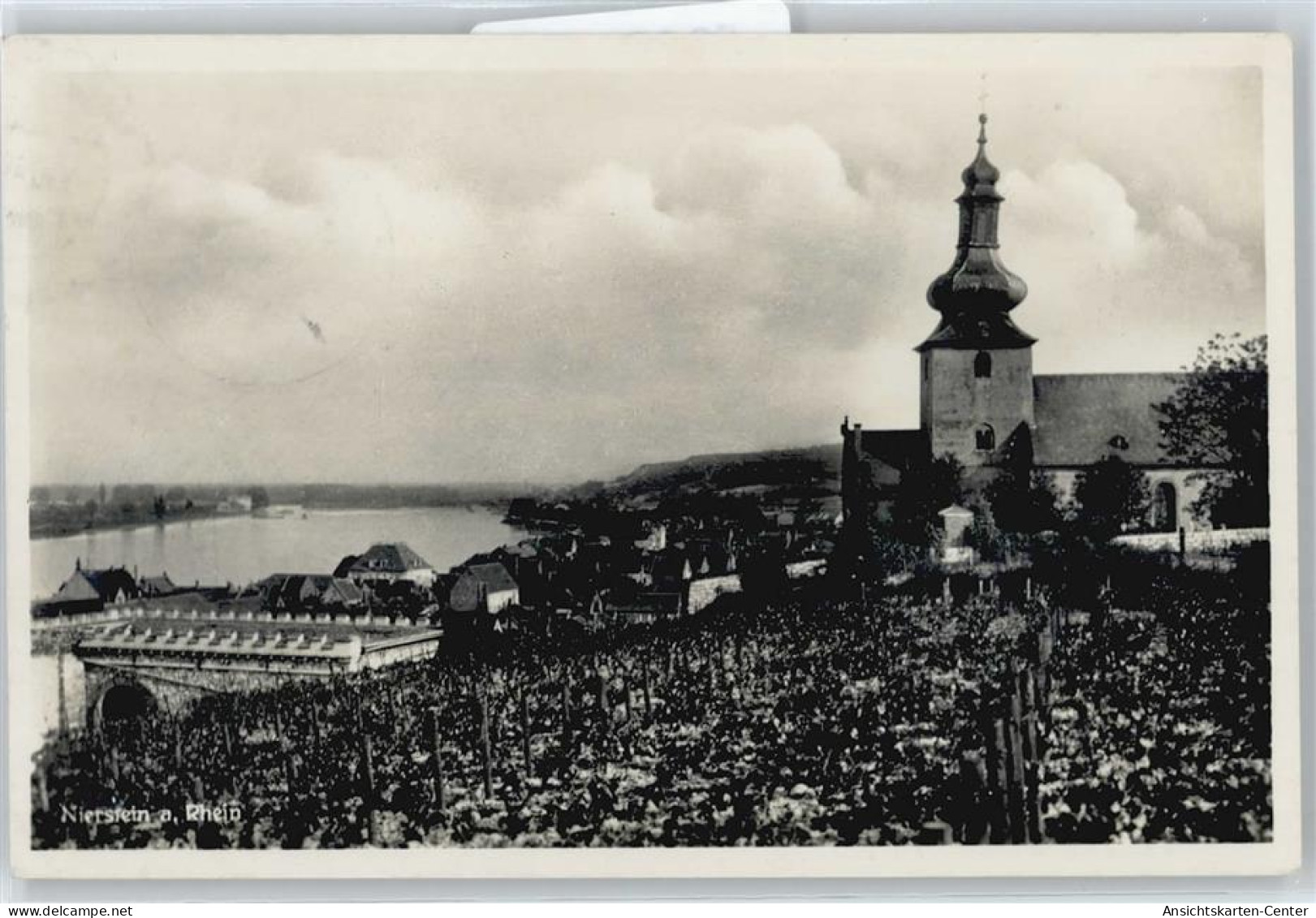 50674002 - Nierstein