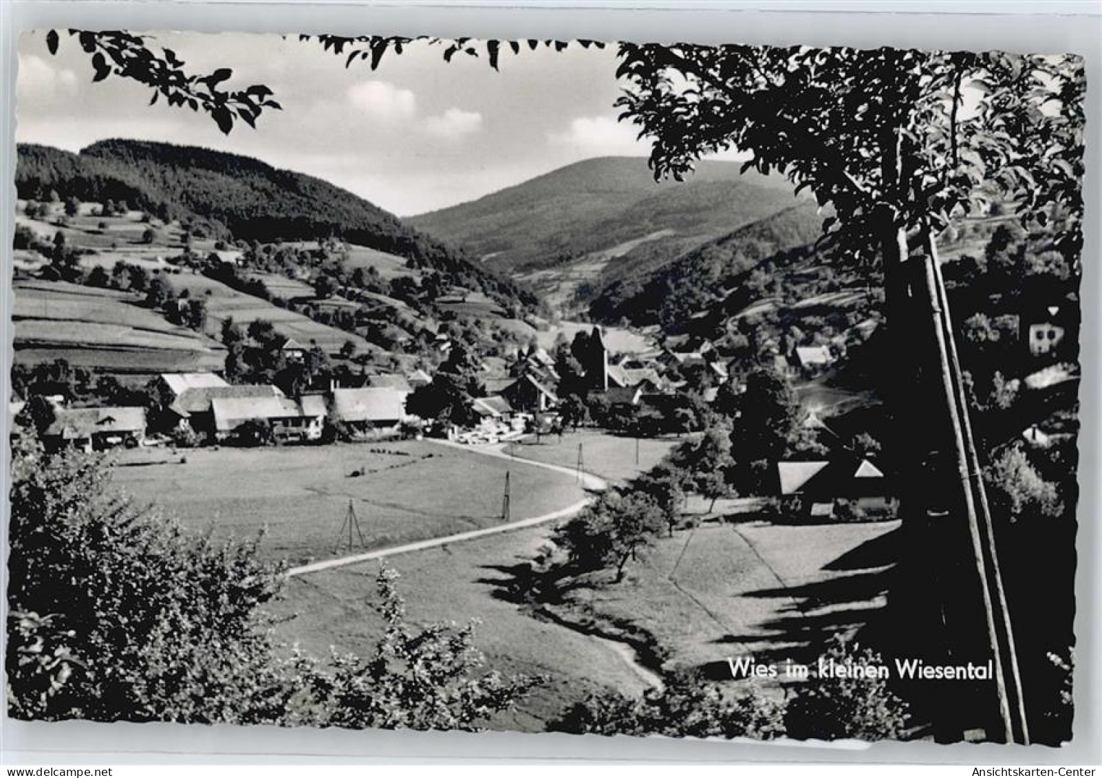 50675137 - Wies , Schwarzw