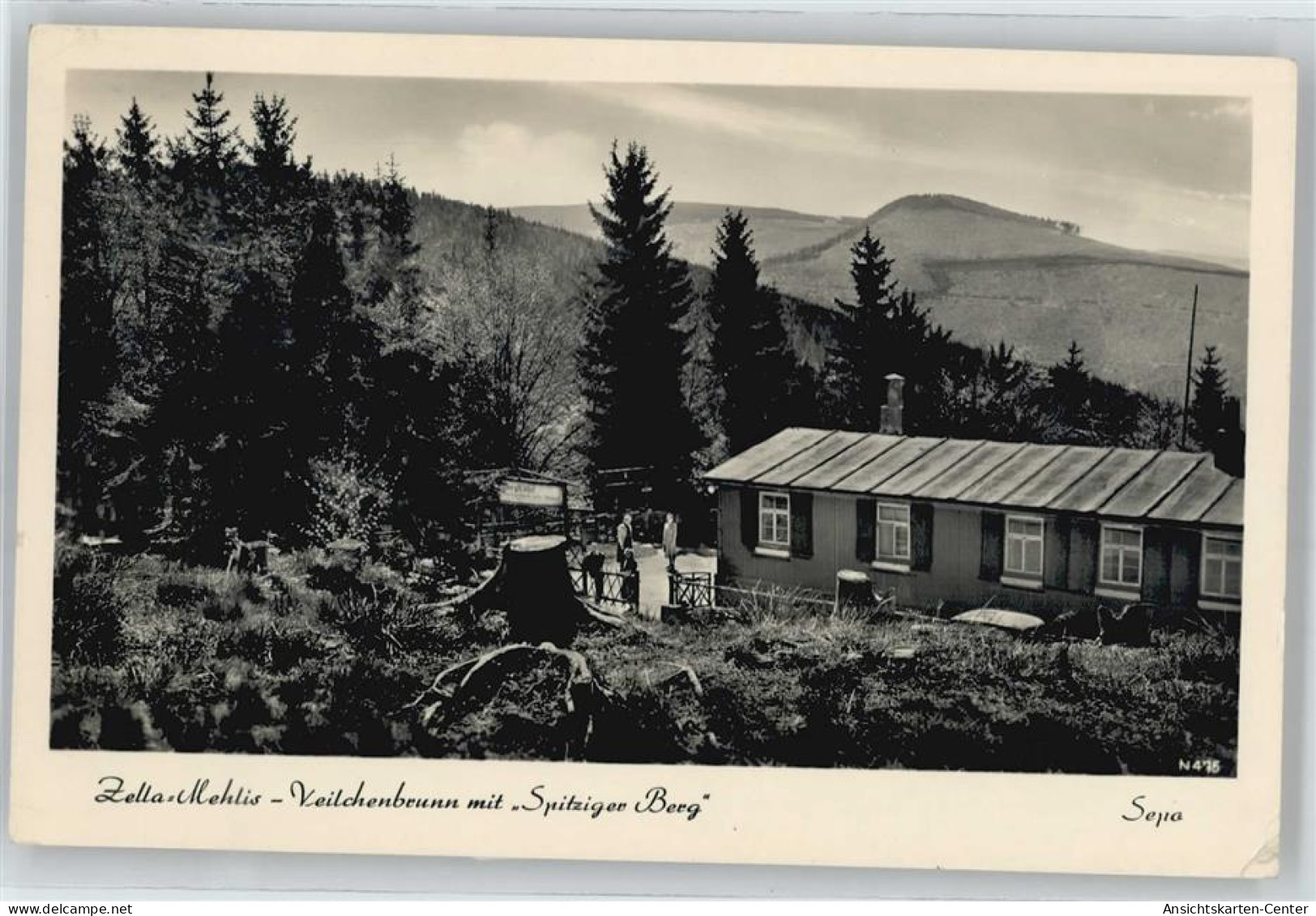 50675138 - Zella-Mehlis