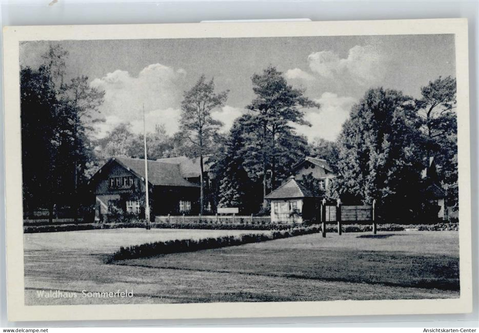 50676978 - Sommerfeld b Velten